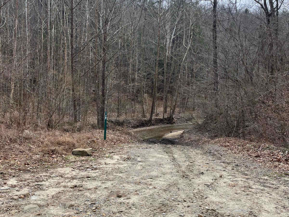 Trail 34 Maynards Fork photo 6