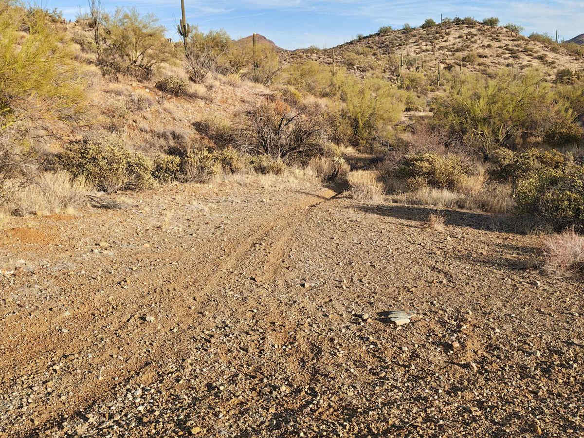 Wash Alternate - Single Track trail photo