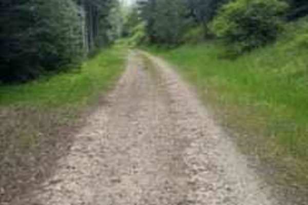 Akers-Excavation Trail 8240