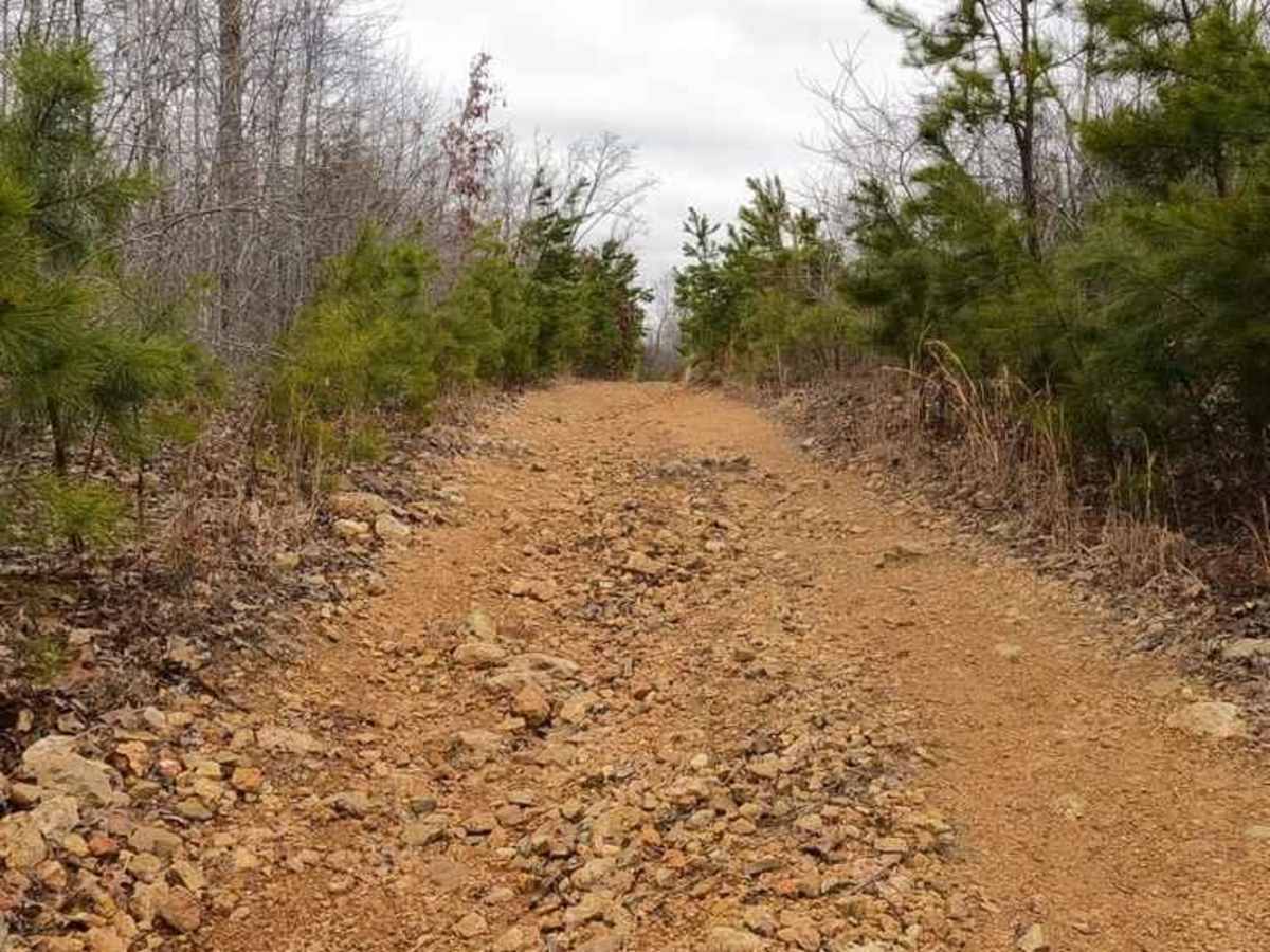 Pine Union Spur B FSR 2137B photo 3