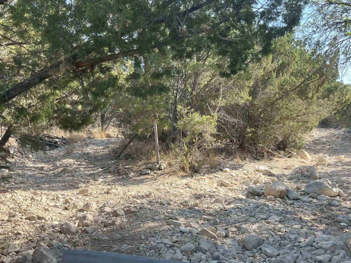 Highway 101 - V7 photo 6