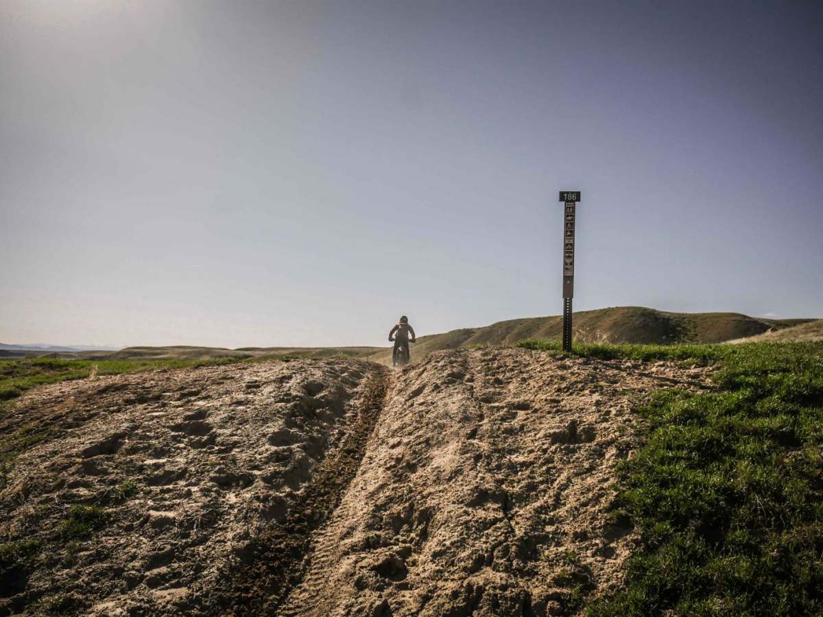 BLM Route 186 trail photo