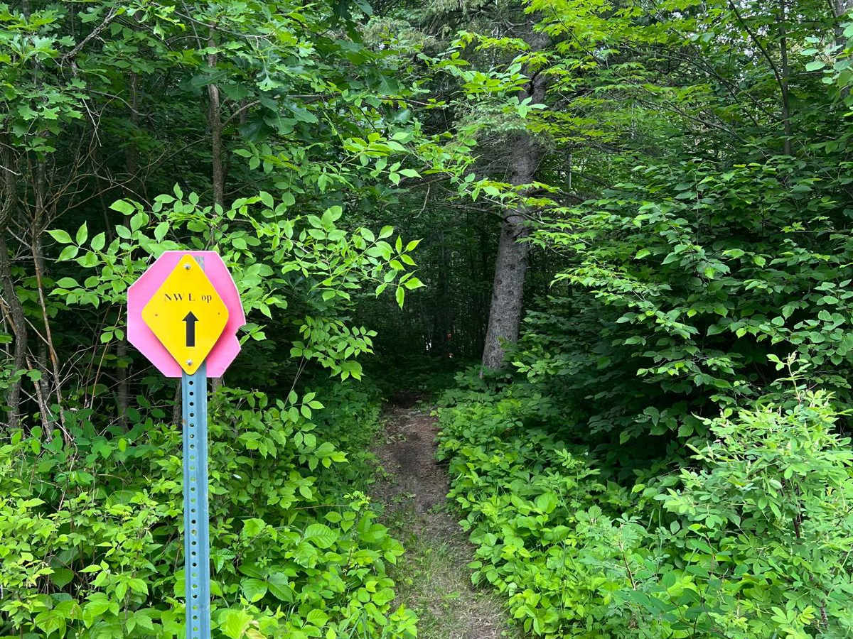 Paul Bunyan NW Loop Part 2 photo 4