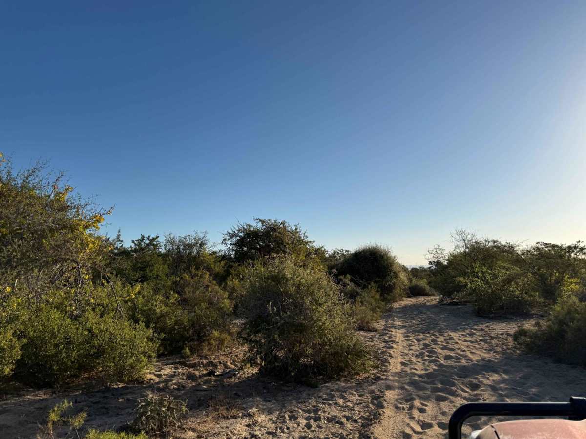 San Jose del Cabo 2 photo 3