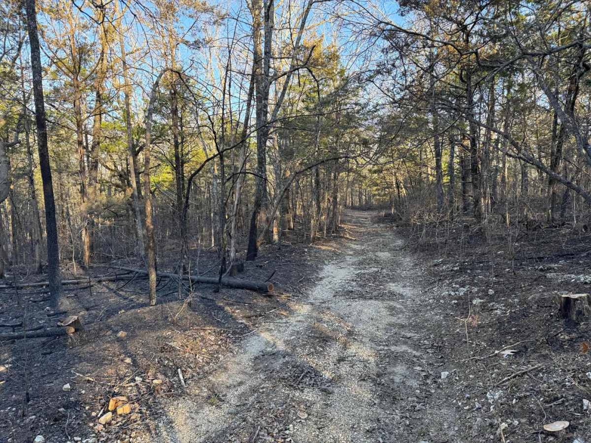 County Road 523 photo 3