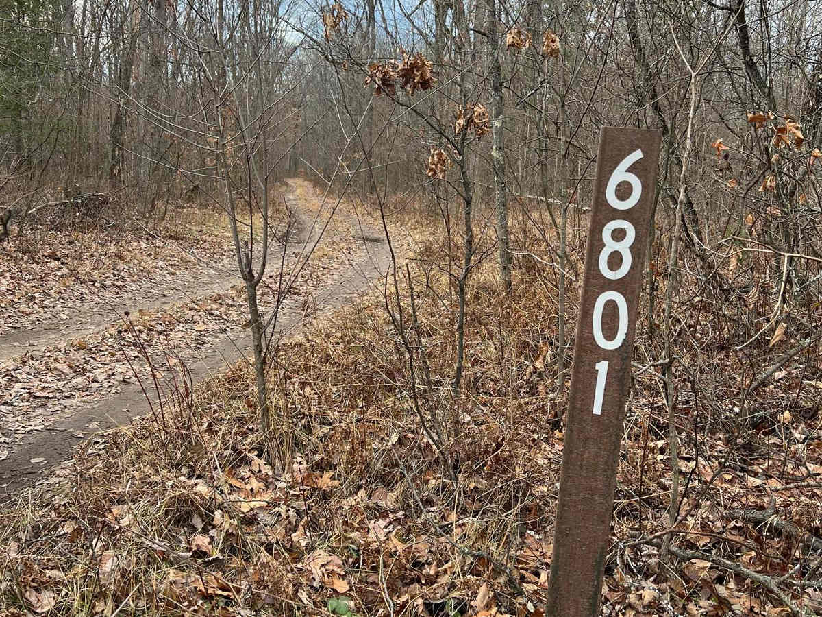 NFS 6801 trail photo