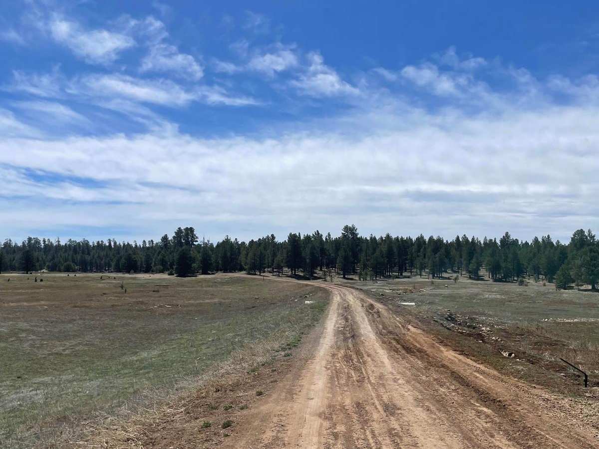 Lower Lake Mary Semi Loop photo 3