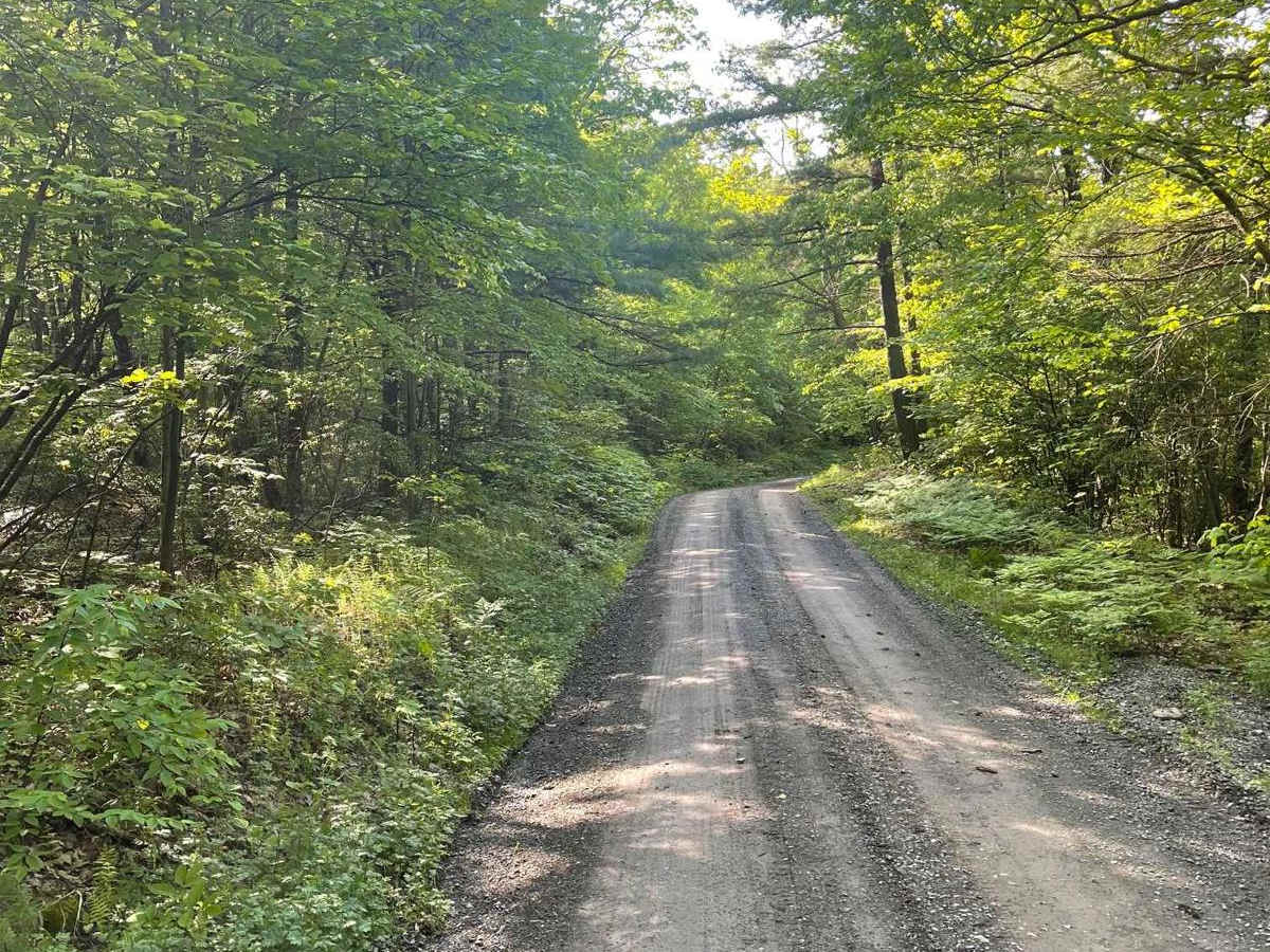 Low Place Road photo 2