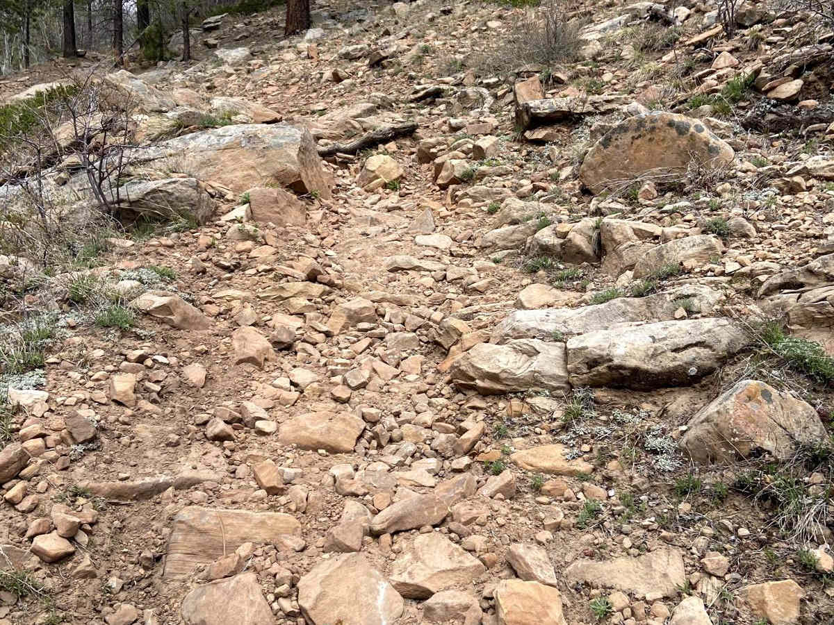 Massey Branch Trail photo 4