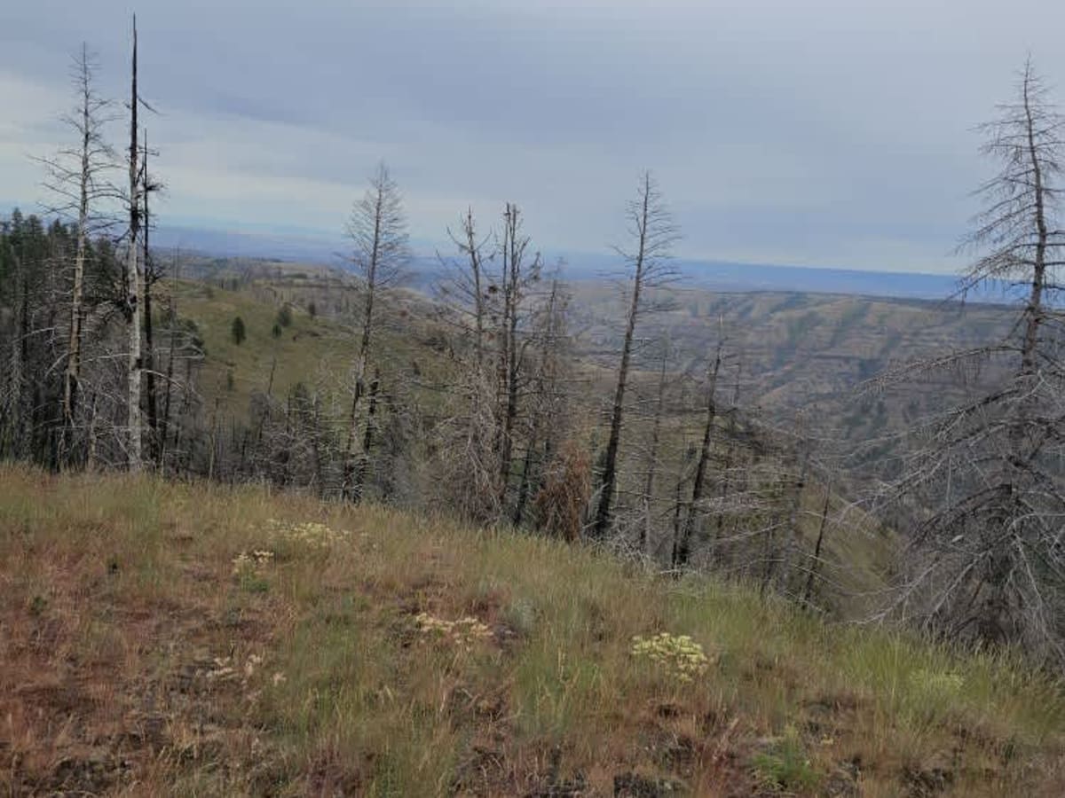 Hard To Get To Ridge photo 5