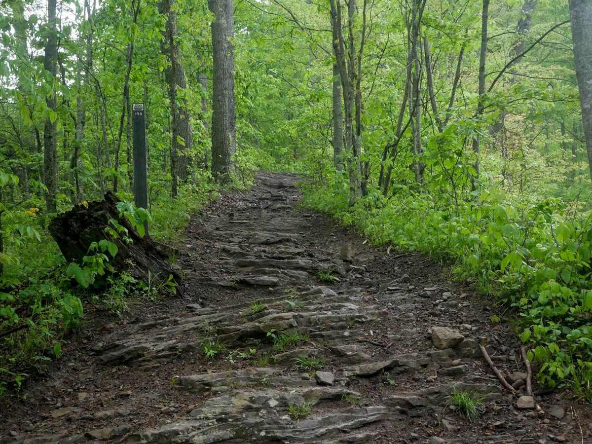 RH 199 trail photo