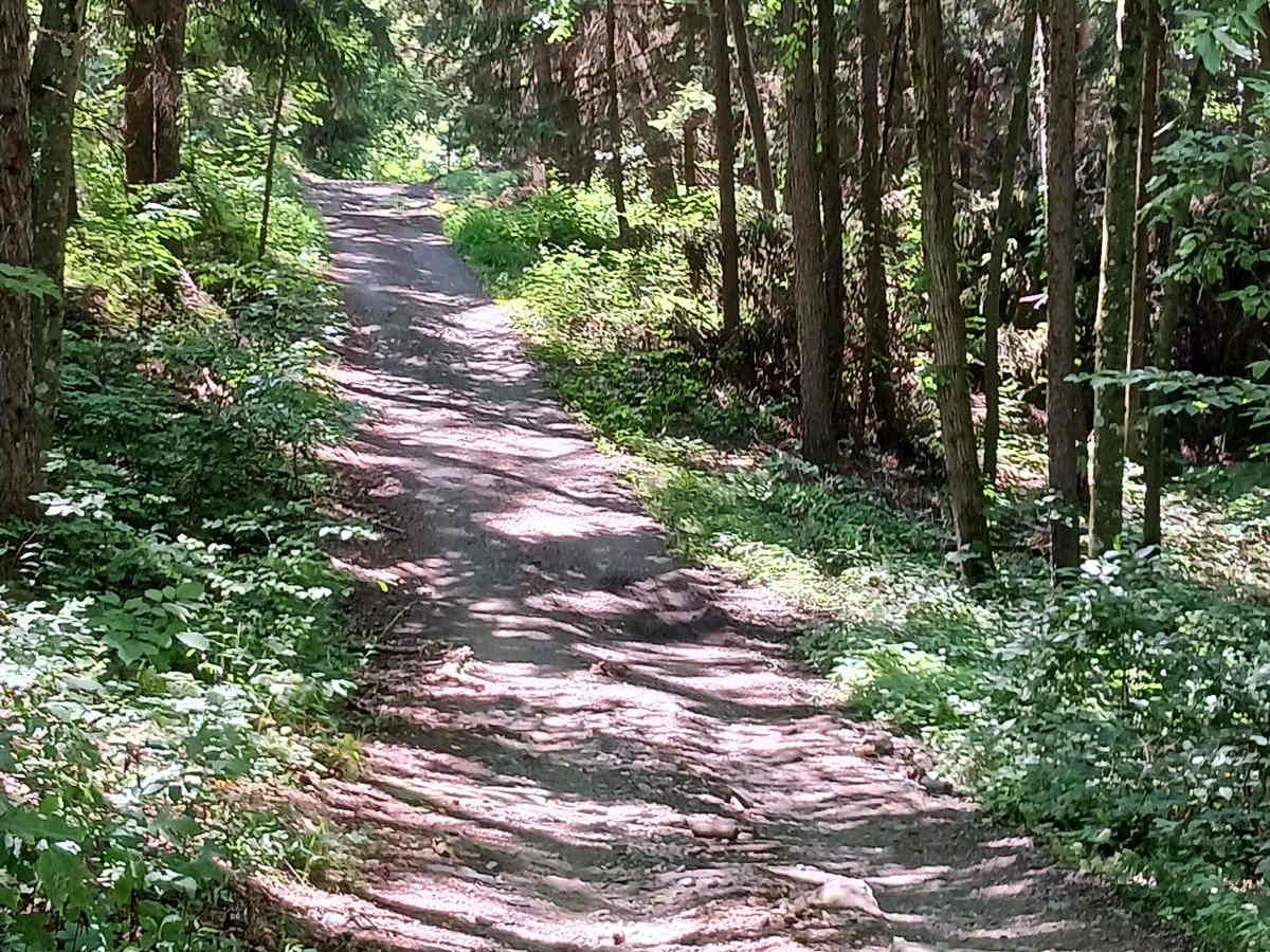 Hawk Lane - Rock Run Recreation Area photo 4