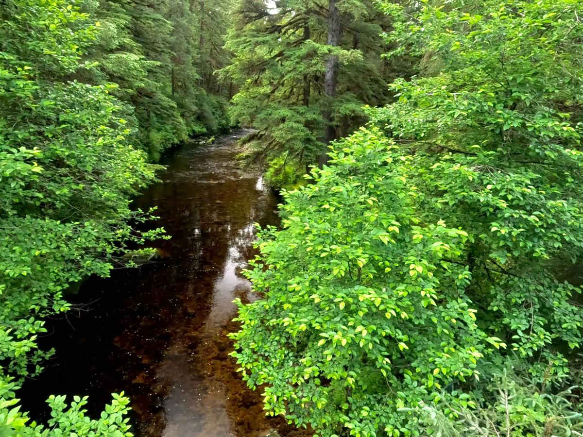 Stumble Creek - 6273 photo 4
