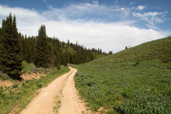 Davenport Hollow Road