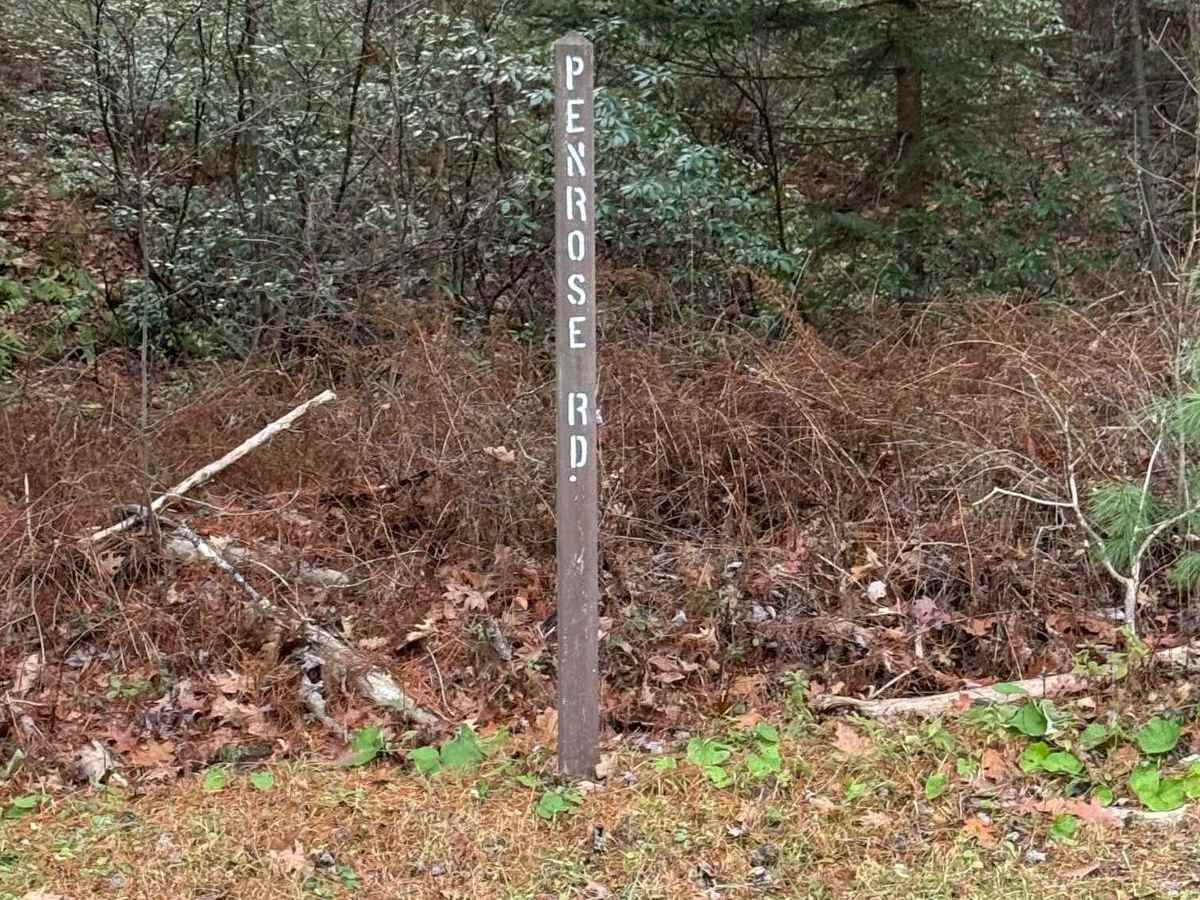 Penrose Road trail photo