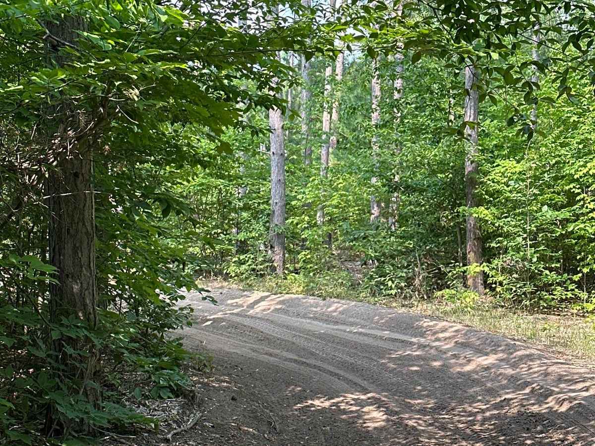 Lamb Road/Trail 39 photo 4
