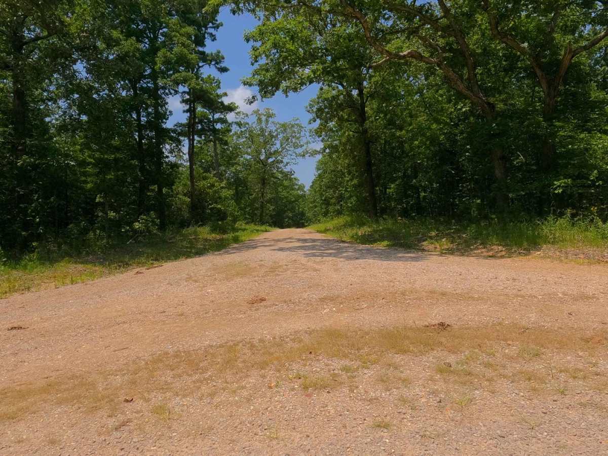 Wayne - CR 212 photo 6