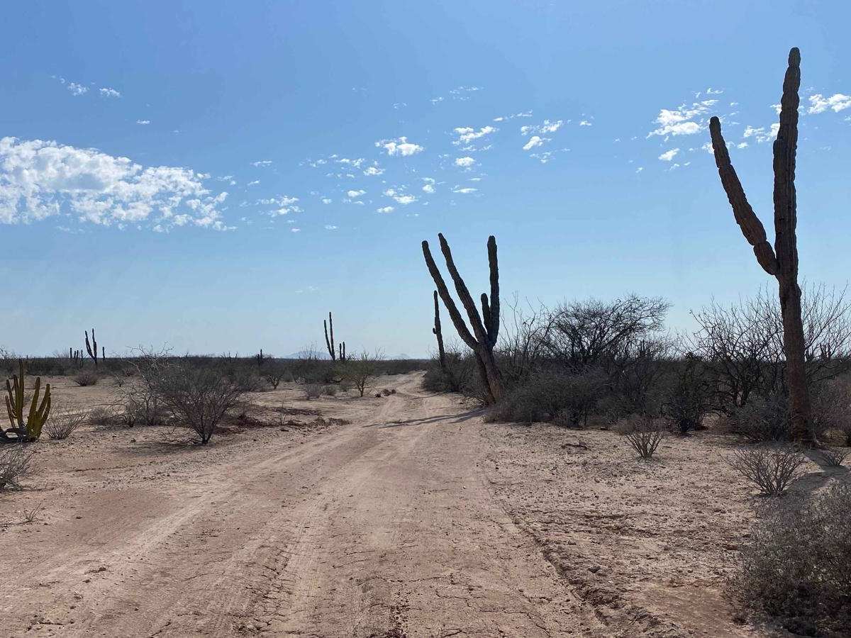 Puerto Chale Cutoff trail photo
