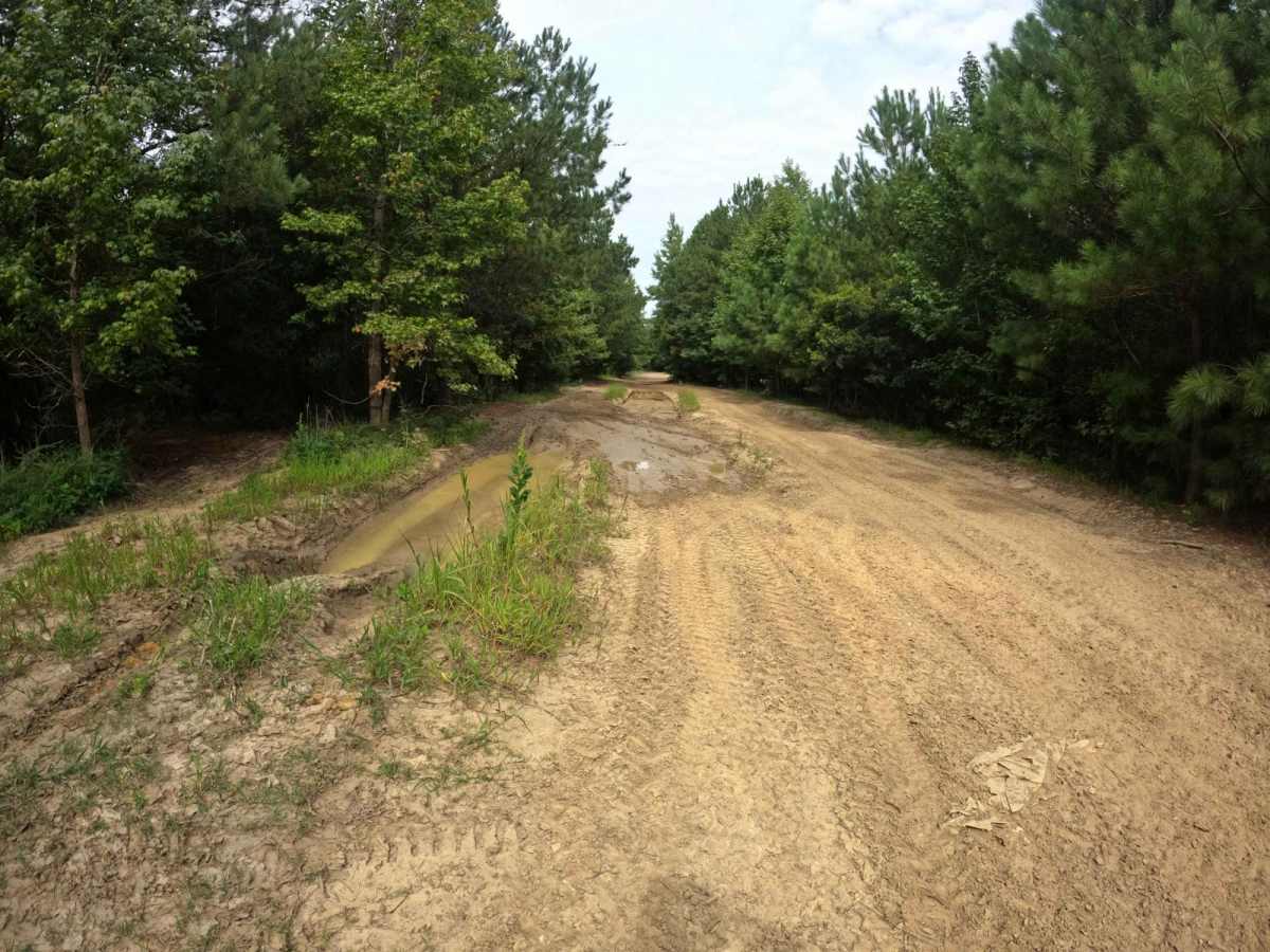 Shelby Drive photo 5