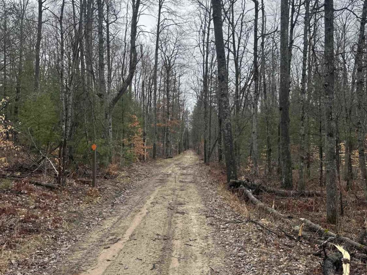 H7 Stout Road to FS 4604 photo 2