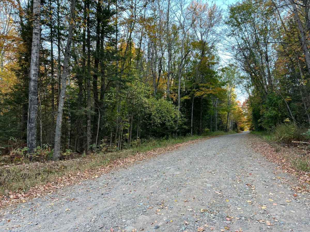 National Forest Road 1510 photo 2