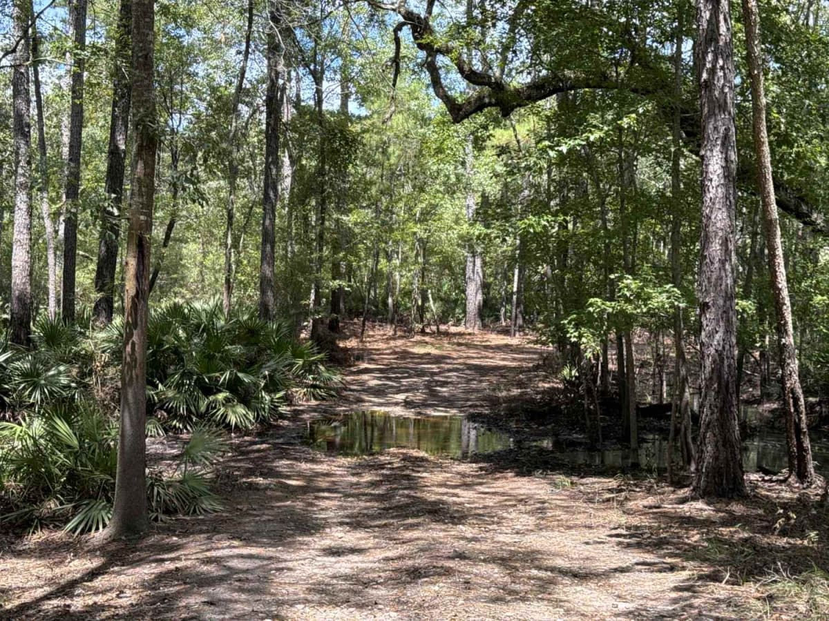 Little Shoals Trail trail photo