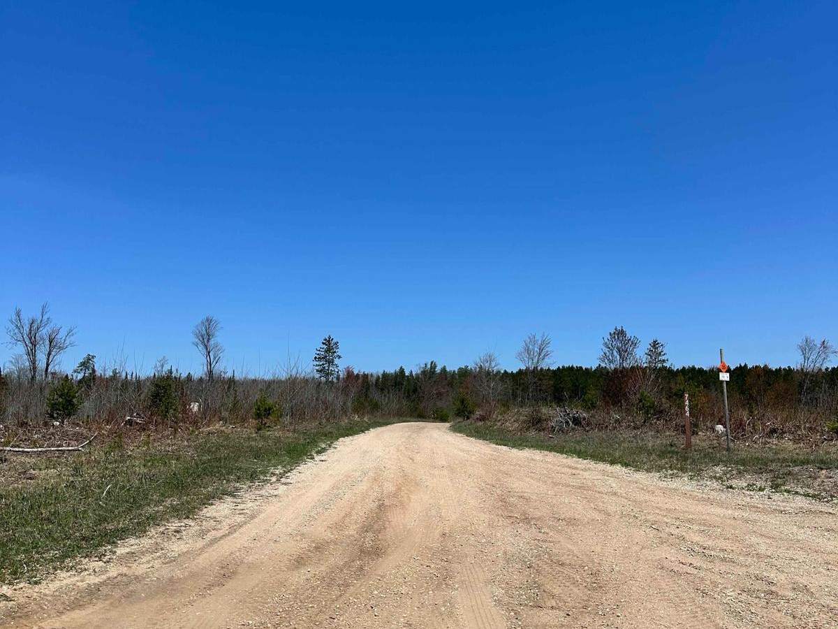 Cadillac Area ORV/OHV Scenic Ride - Part 18 trail photo