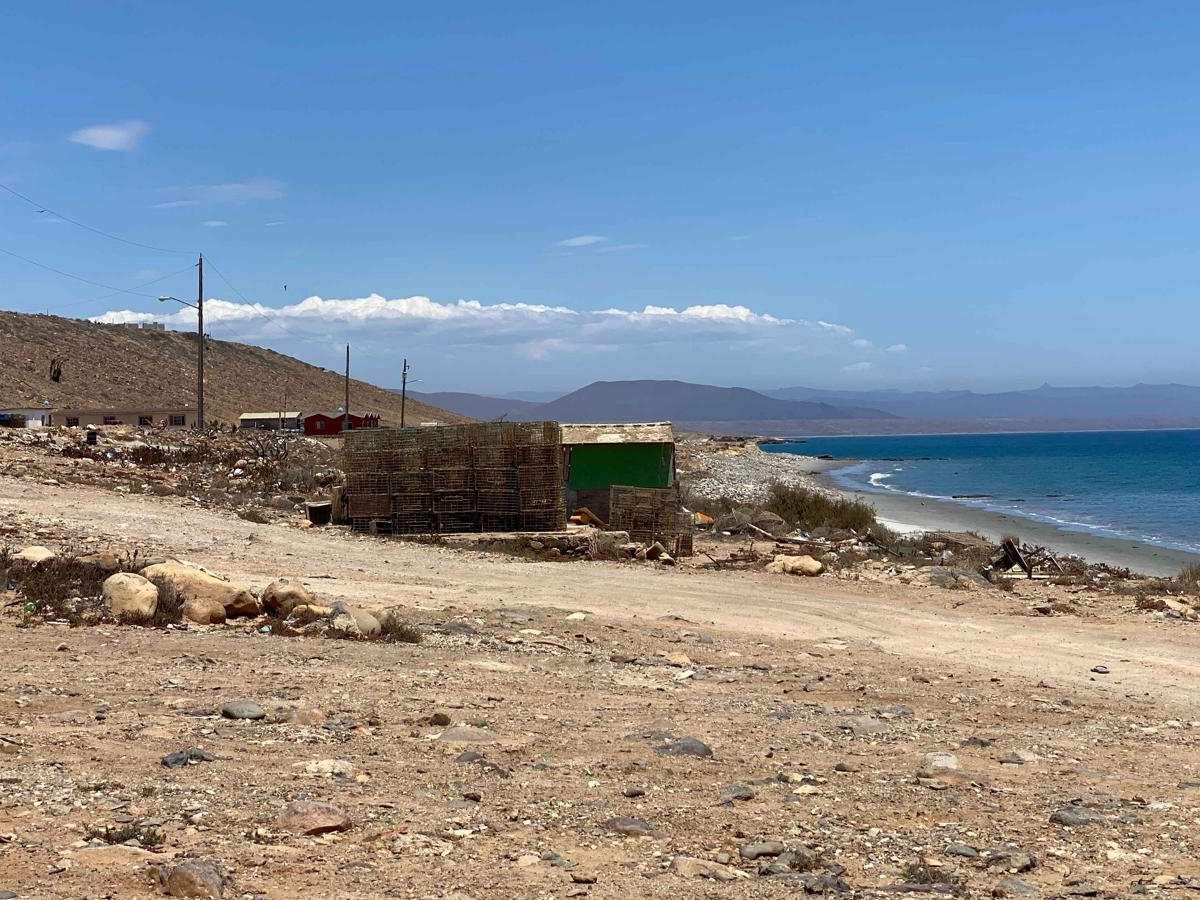 Santa Rosaliita Coastal photo 4