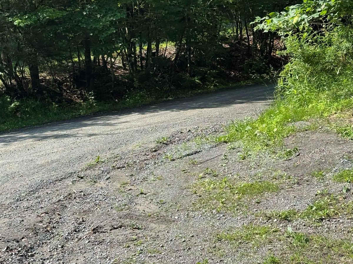Cooley Creek Road photo 2