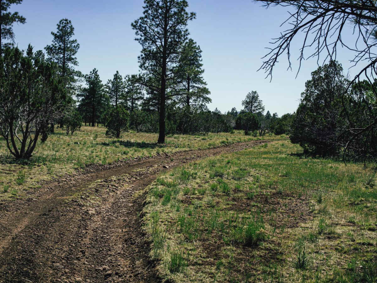 Old 714 Road photo 6