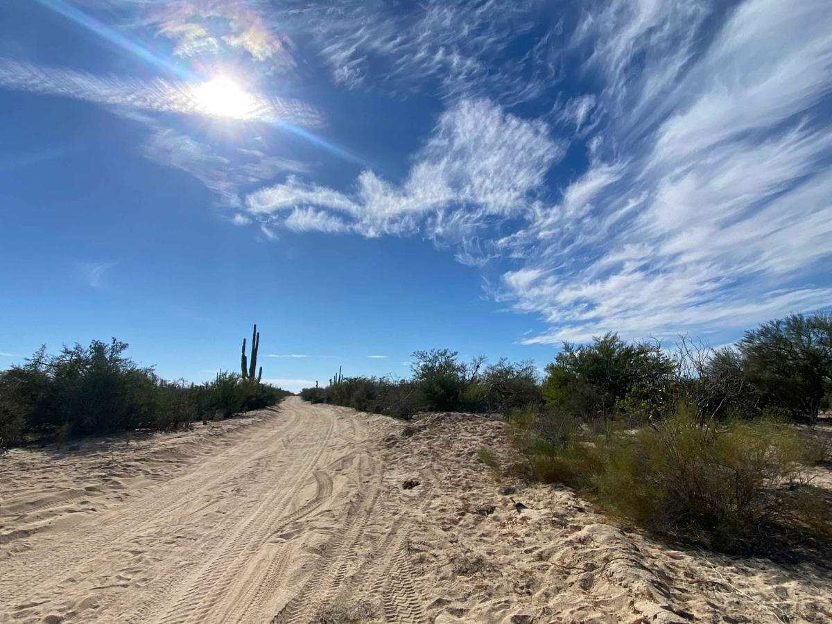 North Road trail photo