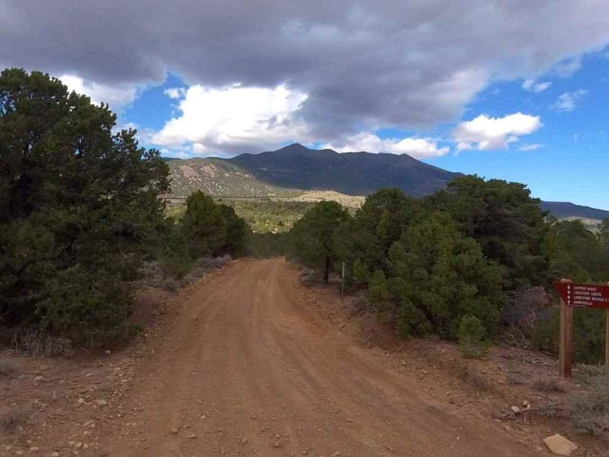 Henry Mountains Road - BLM14500 photo 2