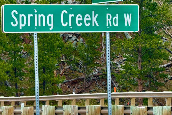 Spring Creek Road - FS 305