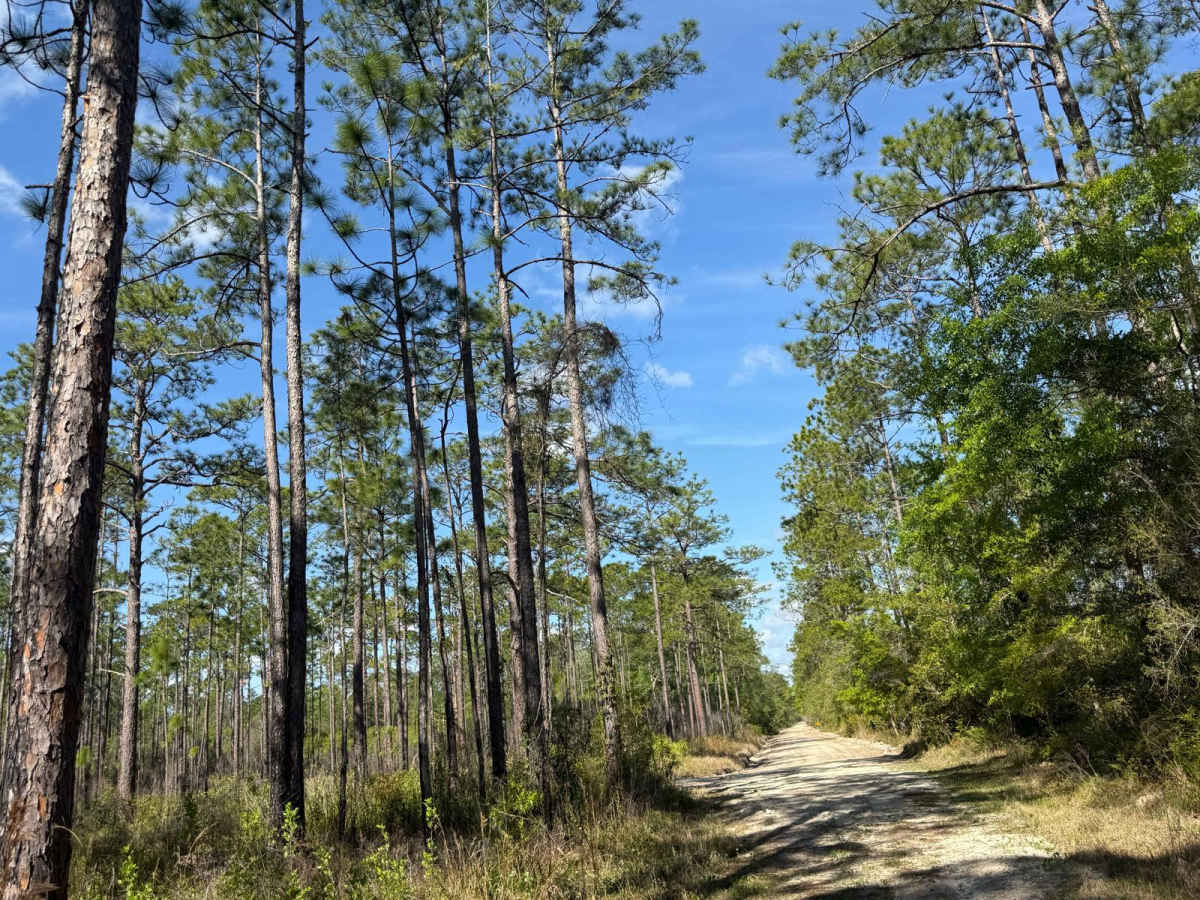 Evano Trail trail photo