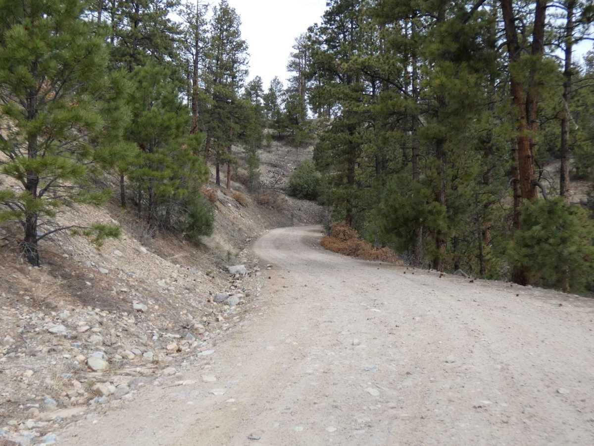 Vallecitos Pass photo 4