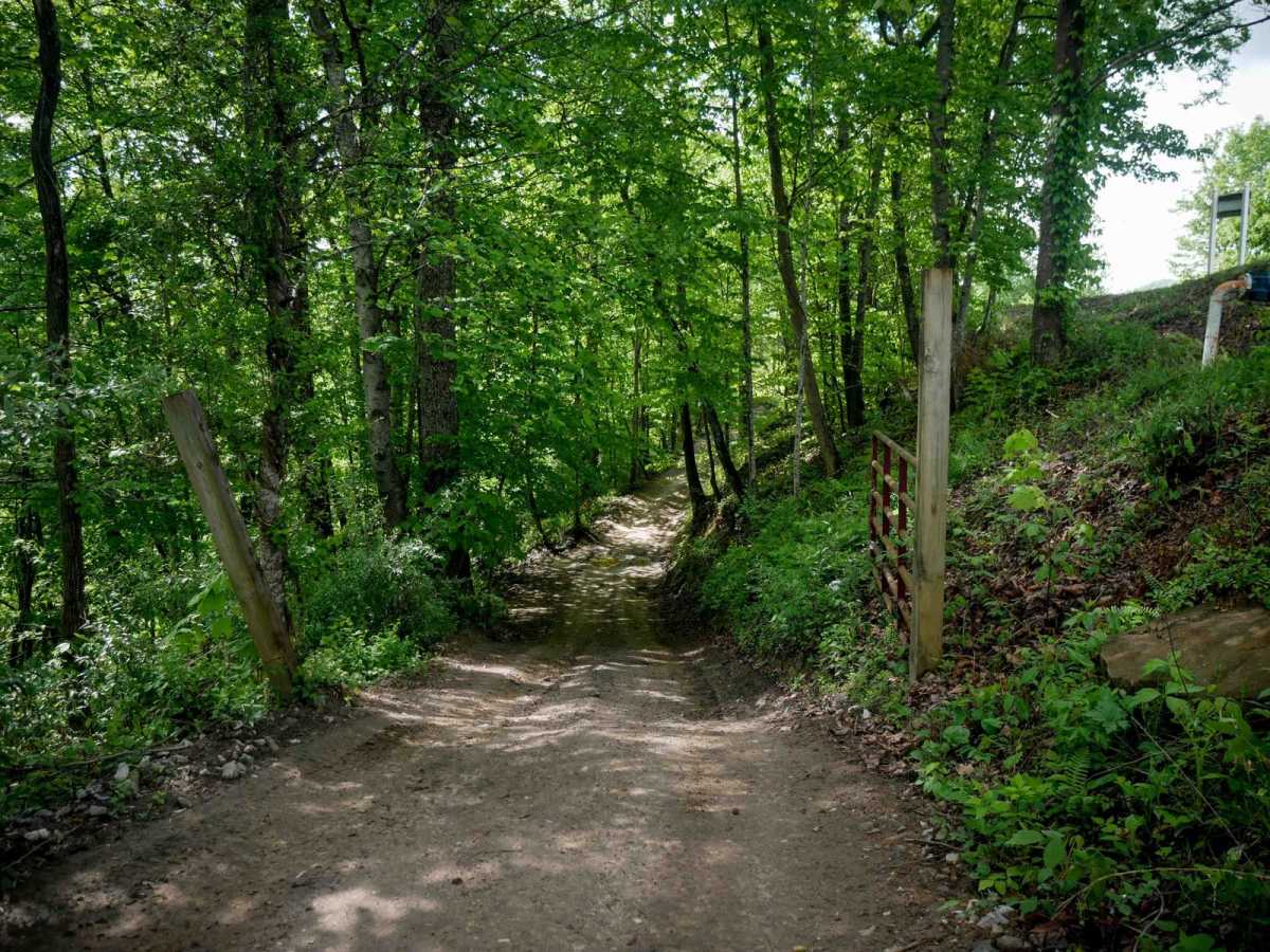 RH 3 trail photo