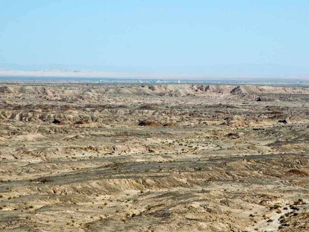 EC 311 Yuha Desert photo 6
