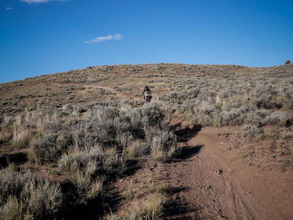 Luge photo 5