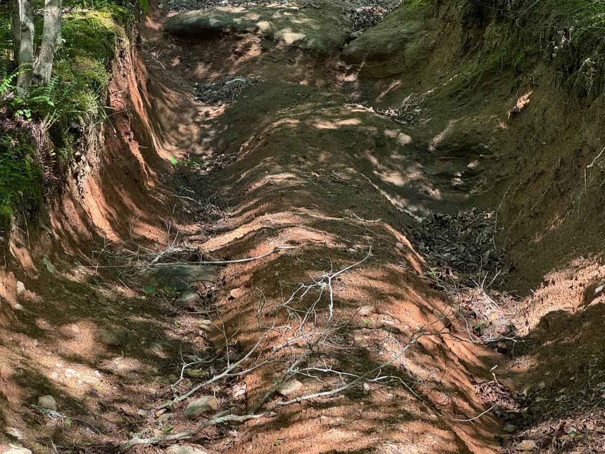 Li'l Devil trail photo
