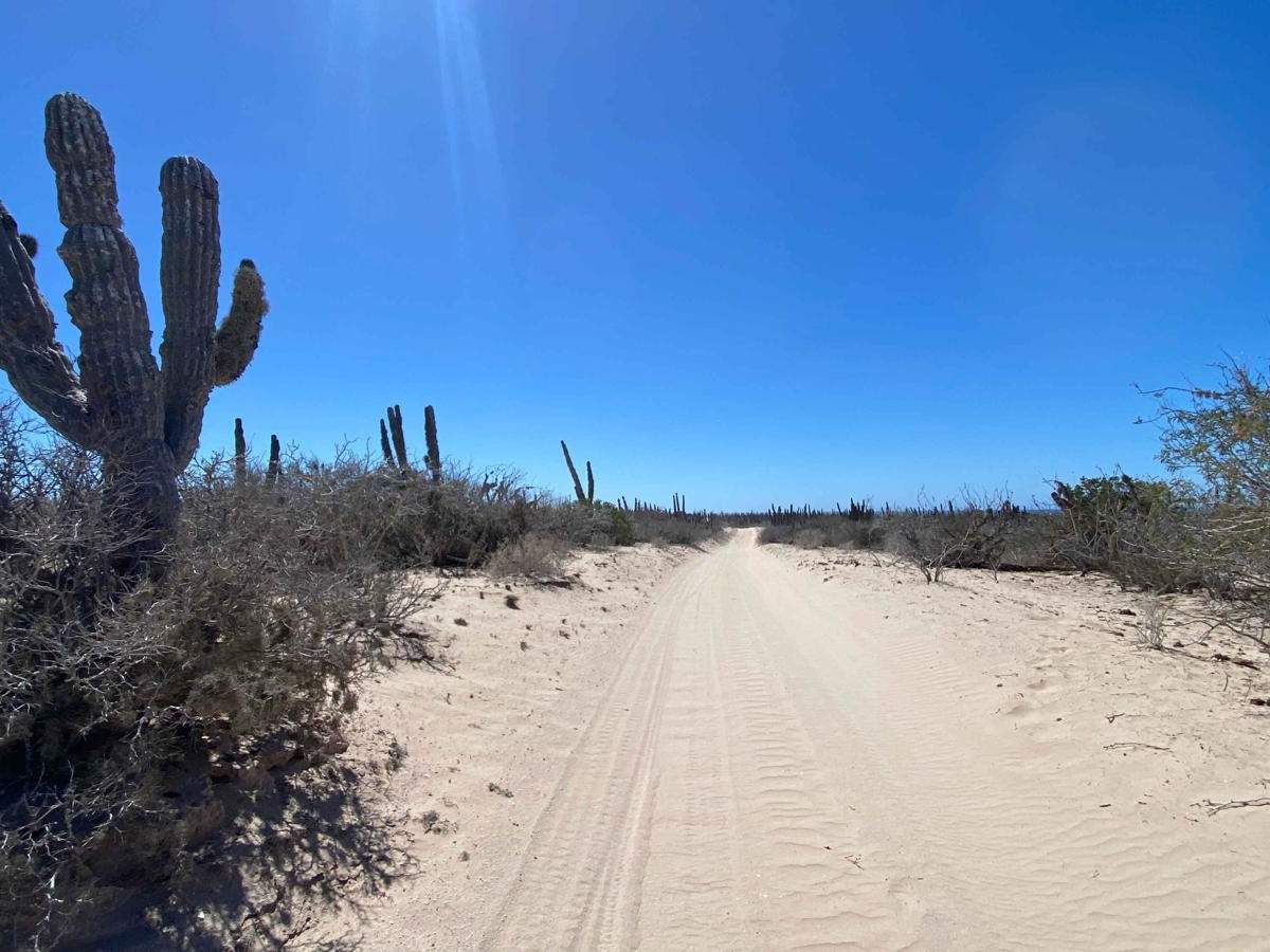 El Chaparral photo 4