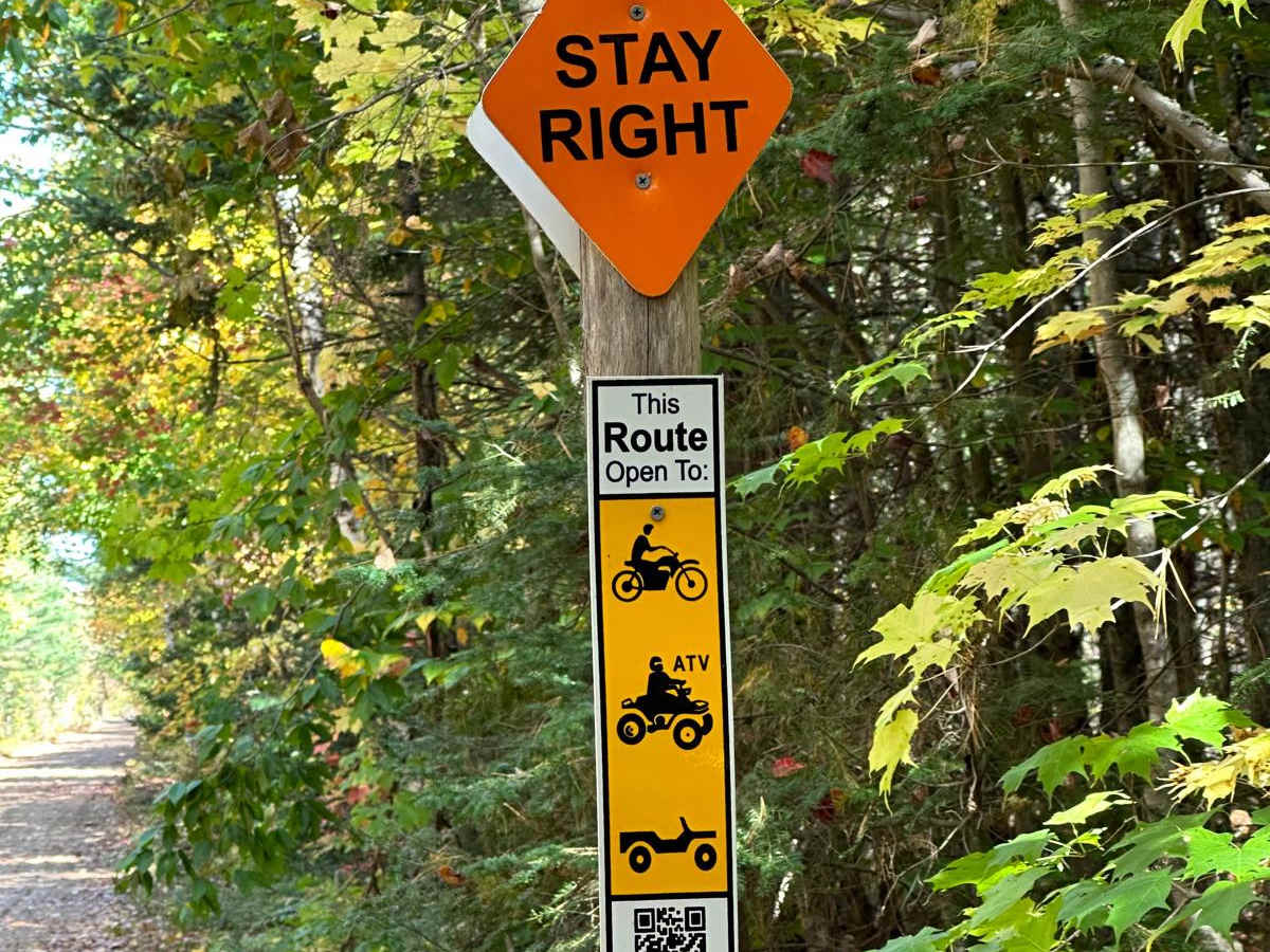 FS 3177 Part 3 trail photo