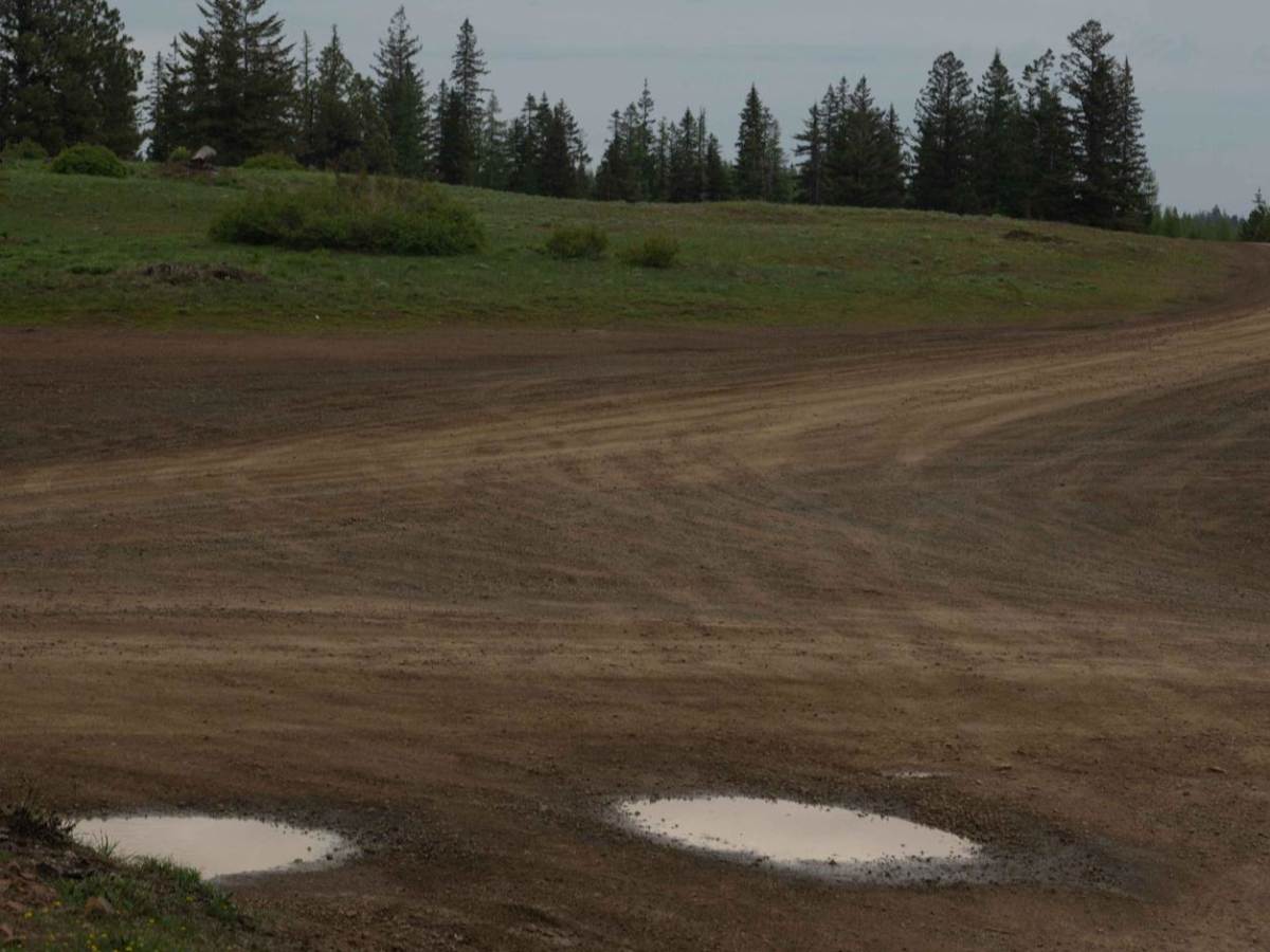 Pomeroy Grouse Flat #40 (#2) photo 4