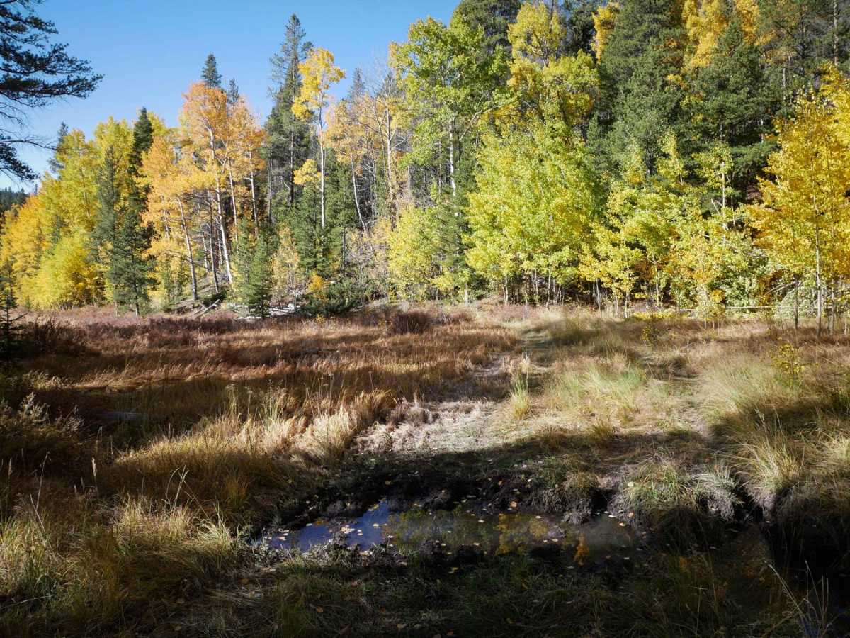 North Gulch photo 6