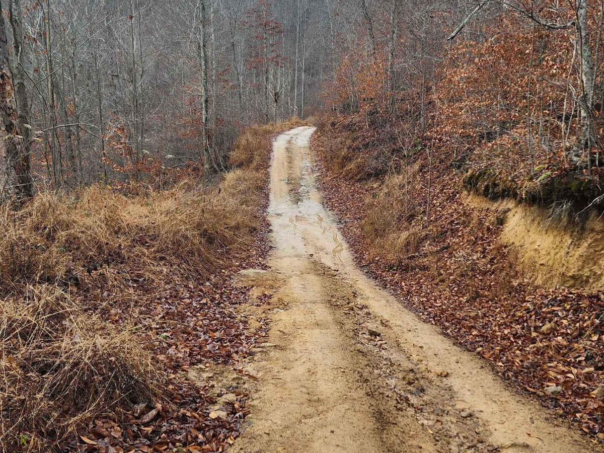 Emily Creek photo 5
