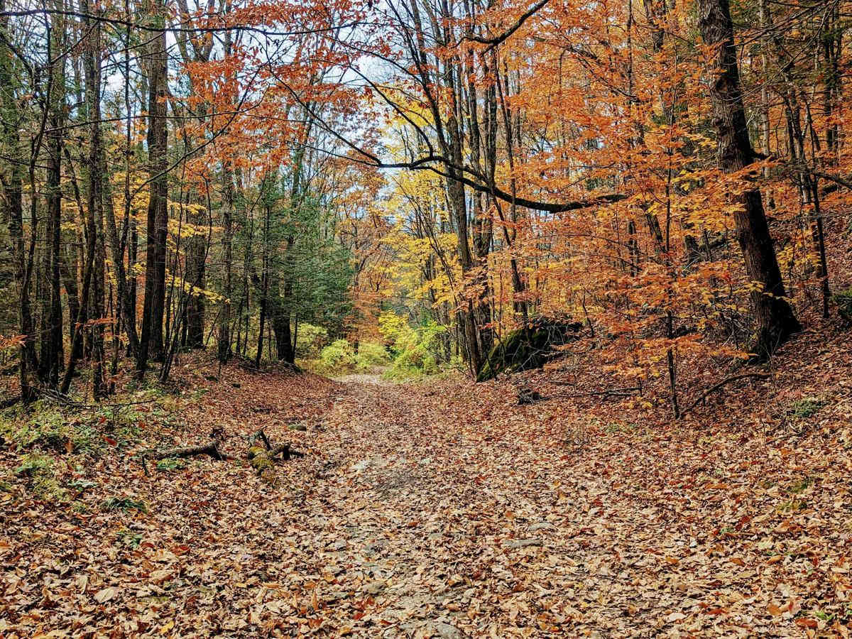 Washington Mountain Road trail photo