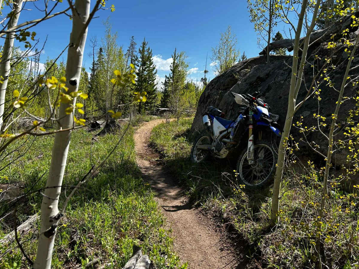 Snyder Creek Loop North Central trail photo