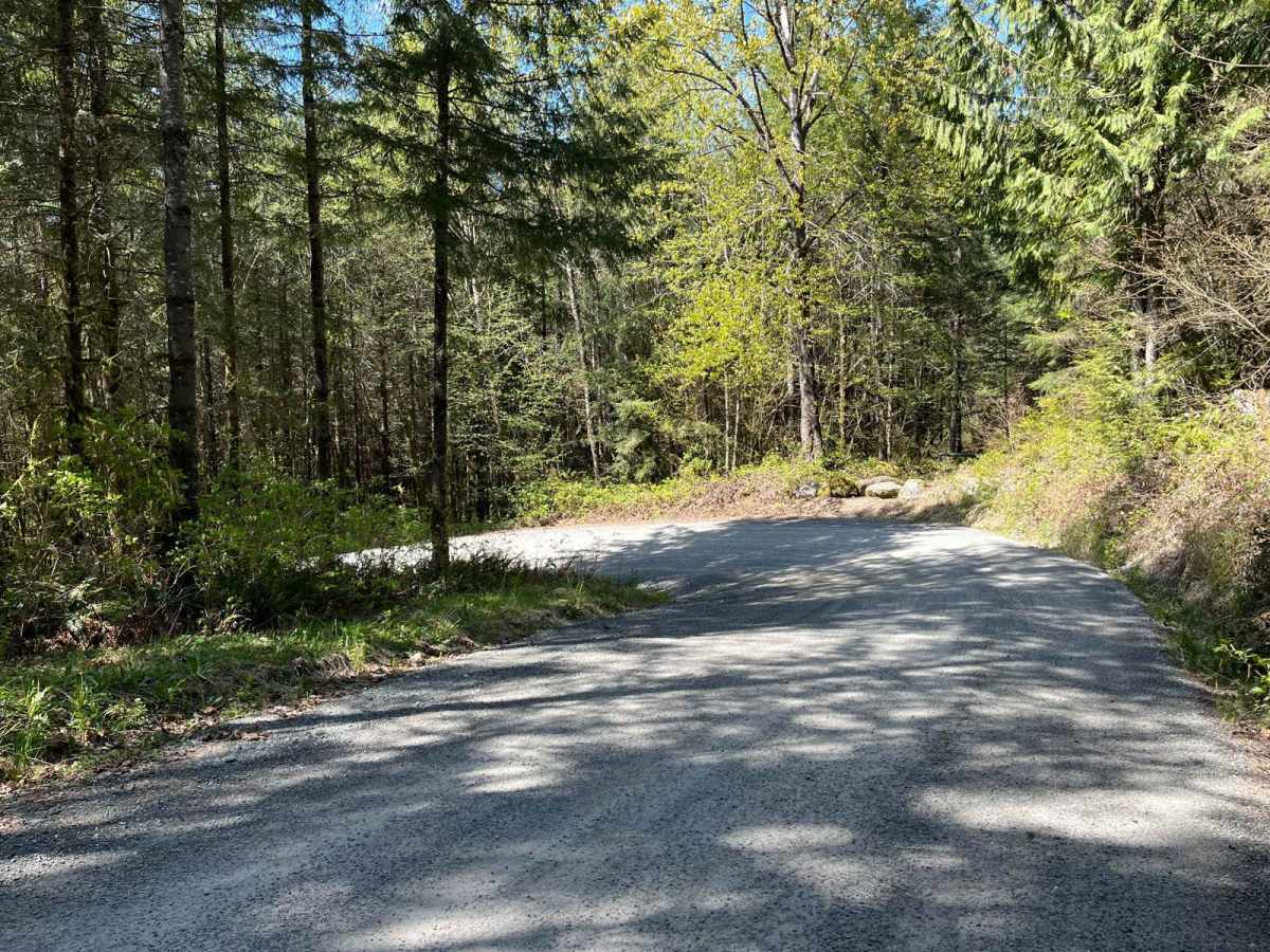 Lake Cavanaugh Road photo 6