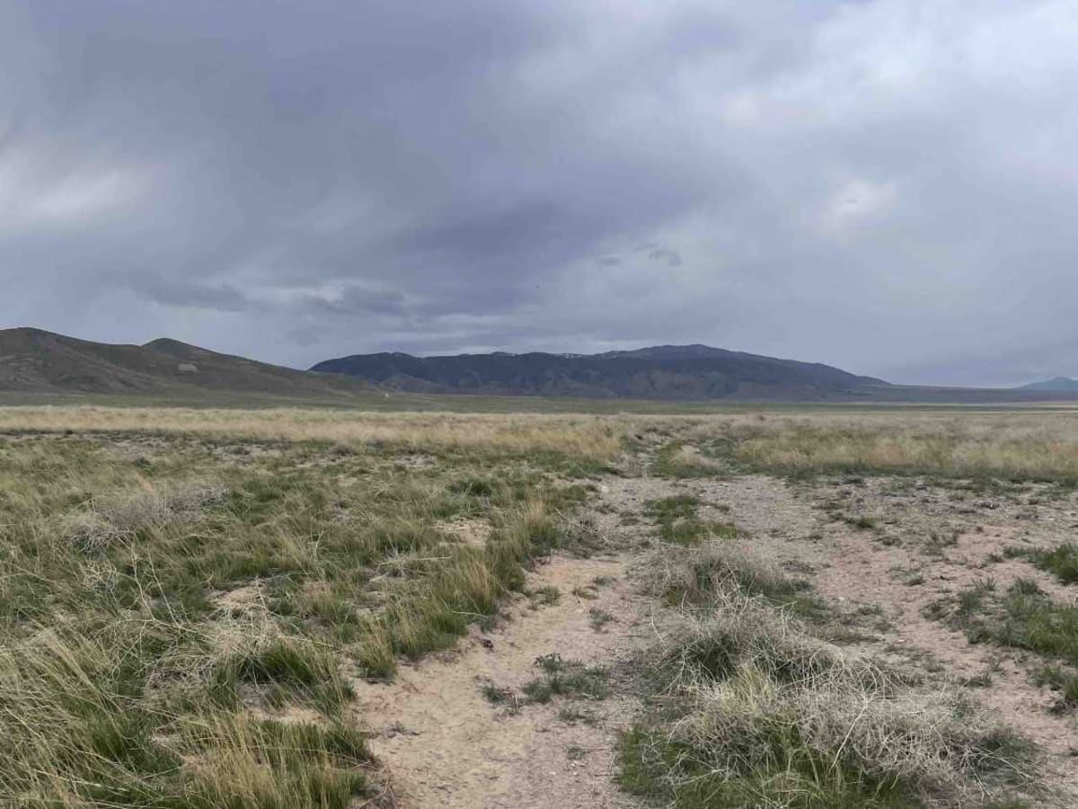 The Open Range photo 5