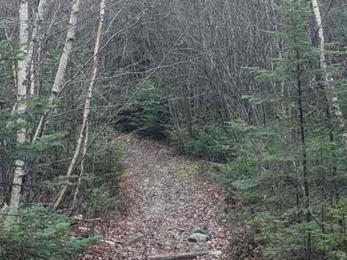 Yesterdays Rough Ride photo 3