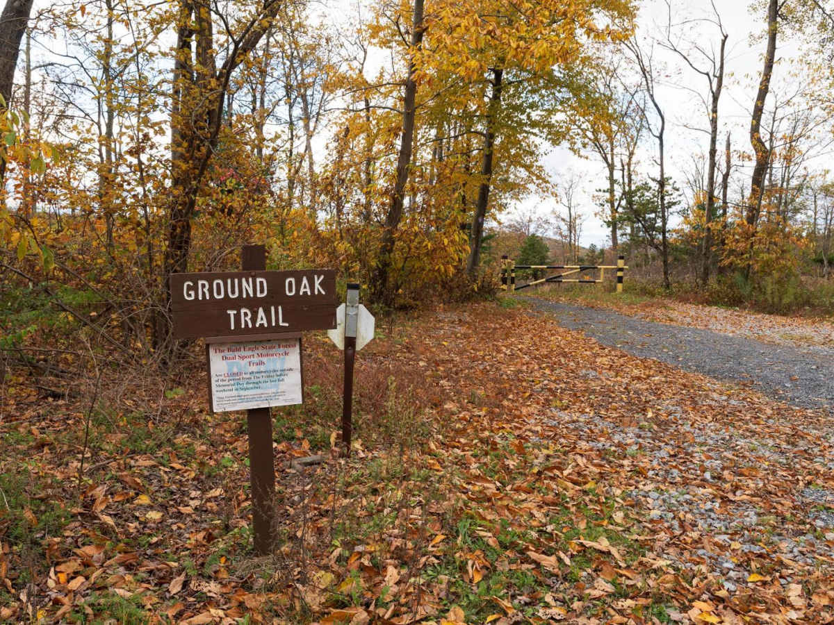 Sand Mountain Road photo 6